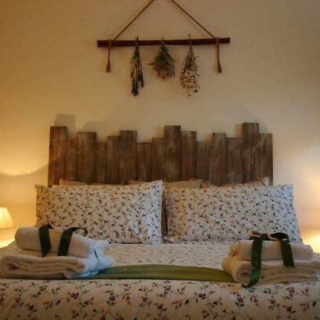 Pepe Guest House 로마 외부 사진