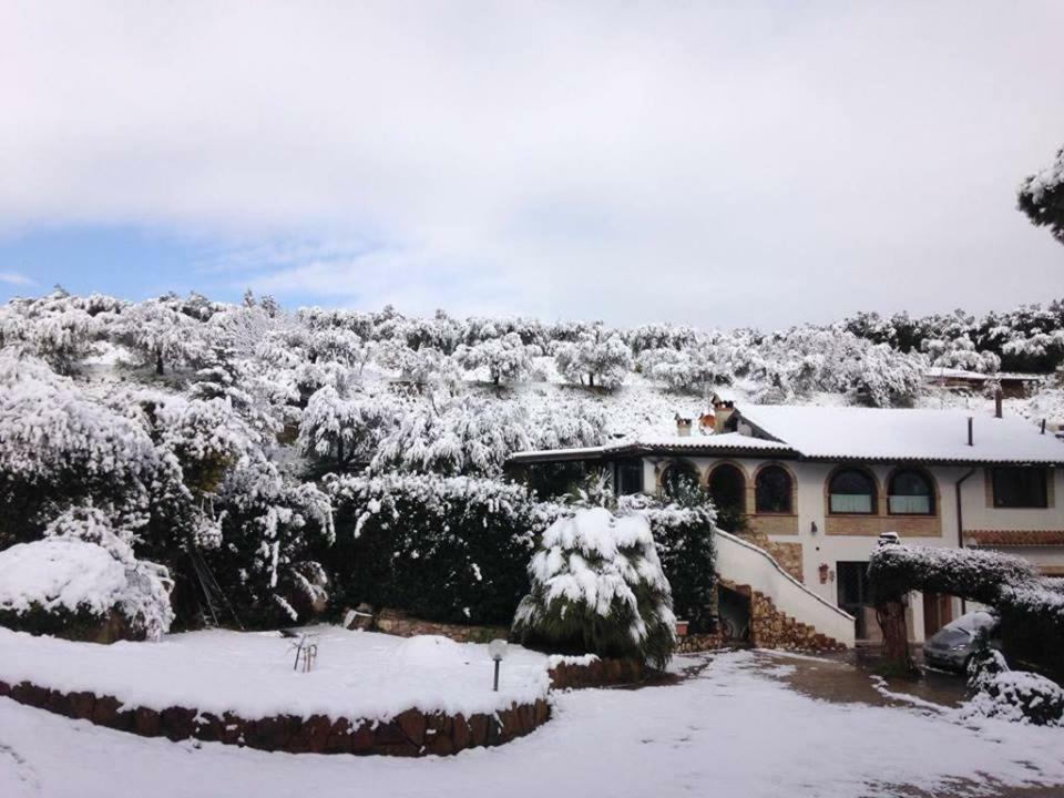 Pepe Guest House 로마 외부 사진